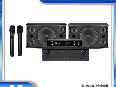 家庭 KTV / 音乐会议专业音响