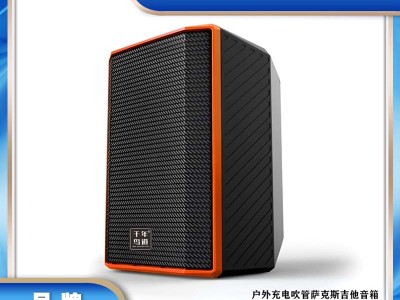 千年鸟道 10 寸卡包音箱 五单元三分频
