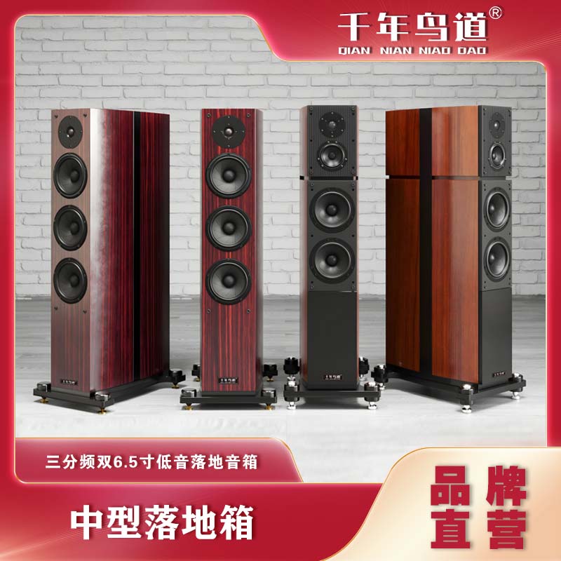 中型落地音响