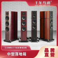 中型落地音响
