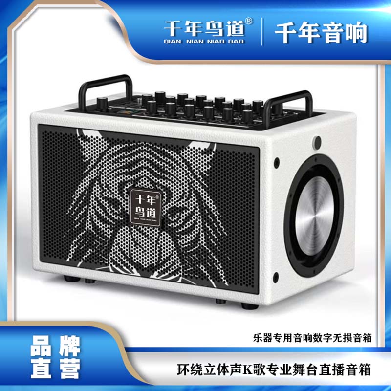 立体环绕K歌音响