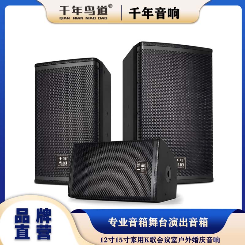 萨克斯演出多功能音响