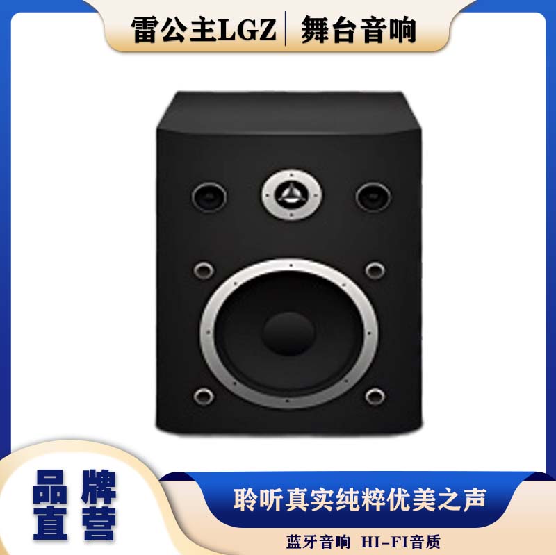 雷公主LGZ-V13舞台智能音响蓝牙音箱