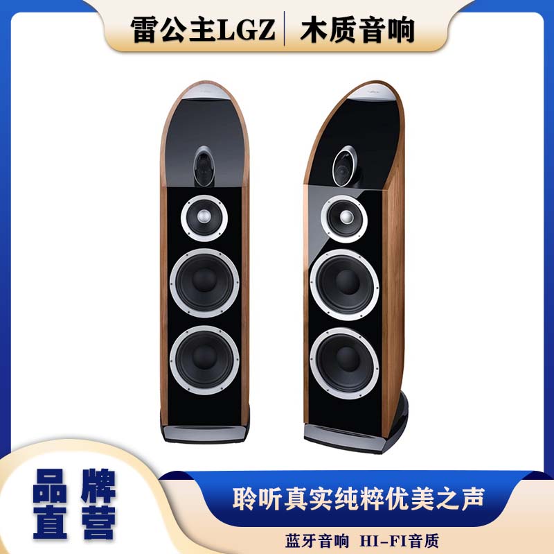 雷公主LGZ-V16智能音响蓝牙音箱