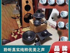 雷公主 LGZ 定制音响：把 “声音的选择权” 还给你