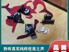 雷公主 LGZ 定制方案：让每一套音响，都长在你的需求里