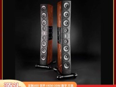 当 “音墙” 落地：雷公主定制版 YG nja 1.3 的声场统治力