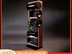 裸露的声学艺术：雷公主定制开放式音柱的 “声音解构主义”