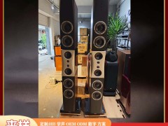 多单元声浪柱：雷公主定制旗舰落地音箱的 “全频段声场王者”