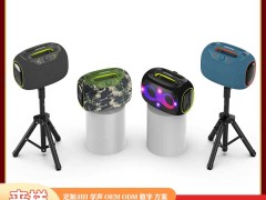 在音响领域DSO 通常指动态声场管理器汽车音响用的表面