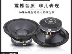 鸟道 RB15-2510H 15 寸专业喇叭：大动态场景的功率级声学单元