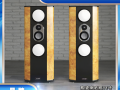 道双 11 寸陶瓷喇叭落地音箱：家用 HIFI 的 “声场巨兽