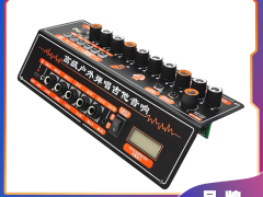 千年鸟道户外弹唱功放板：街头艺人的 “声音魔法盒