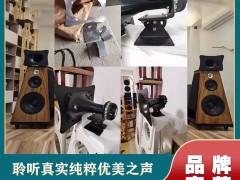 深惠音响网行业访谈：雷公主 LGZ 顶级 HiFi，让 “艺术声学” 落地生活