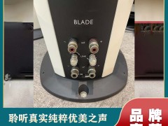 雷公主定制 HIFI 音箱：射频技术赋能的 “无线高保真革命”