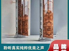 雷公主 HIFI 音箱：高端声学设备的射频干扰防护与定制方案