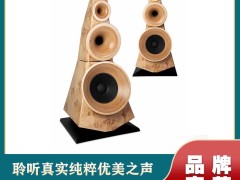 雷公主定制 HIFI 音箱：射频环境下的声学美学新范式