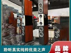 雷公主多配色柱式 HIFI：电路设计赋能 “颜值与音质双选”
