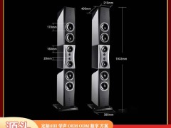 雷公主智能音响：数字 DSP 重构高端 HIFI 的 “声价比” 边界