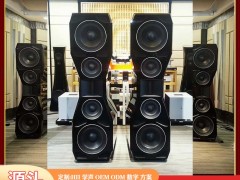 雷公主塔式智能音响：数字 DSP 重构 “巨型艺术形态的声学边界”