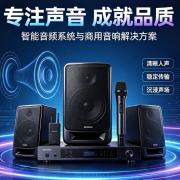 佛山市南海月丰声浪音响电器有限公司