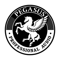 PEGASUS 帕格索斯